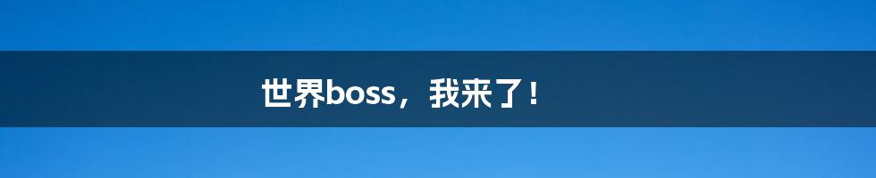 世界boss，我来了！