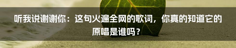 听我说谢谢你：这句火遍全网的歌词，你真的知道它的原唱是谁吗？