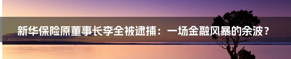 新华保险原董事长李全被逮捕：一场金融风暴的余波？