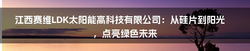 江西赛维LDK太阳能高科技有限公司：从硅片到阳光，点亮绿色未来