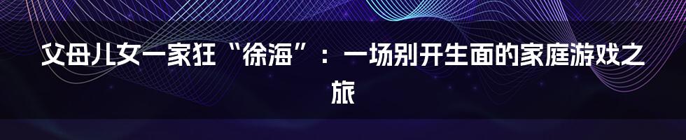 父母儿女一家狂“徐海”：一场别开生面的家庭游戏之旅