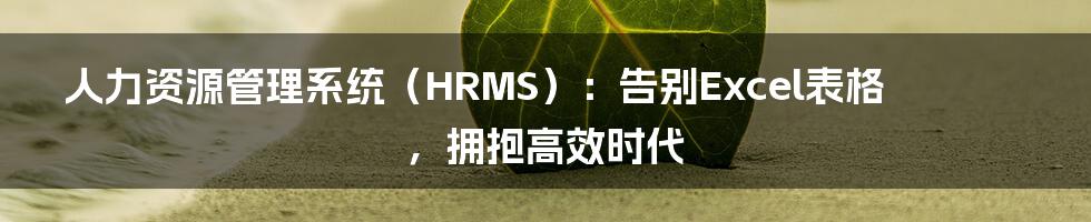 人力资源管理系统（HRMS）：告别Excel表格，拥抱高效时代