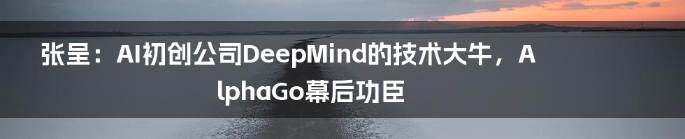 张呈：AI初创公司DeepMind的技术大牛，AlphaGo幕后功臣