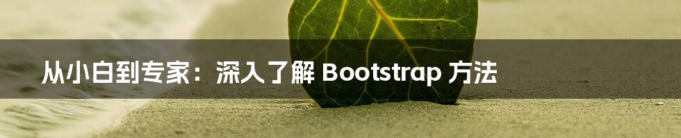 从小白到专家：深入了解 Bootstrap 方法