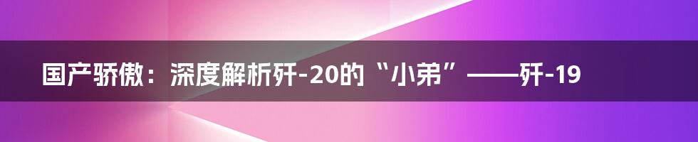 国产骄傲：深度解析歼-20的“小弟”——歼-19