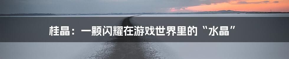 桂晶：一颗闪耀在游戏世界里的“水晶”