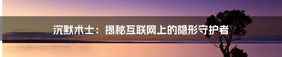 沉默术士：揭秘互联网上的隐形守护者