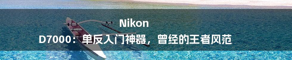 Nikon D7000：单反入门神器，曾经的王者风范