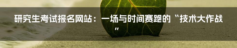 研究生考试报名网站：一场与时间赛跑的“技术大作战”