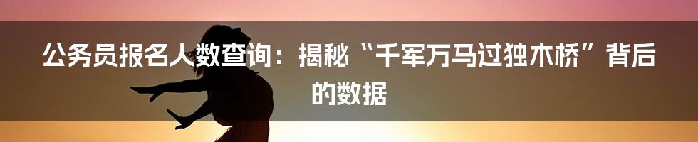 公务员报名人数查询：揭秘“千军万马过独木桥”背后的数据