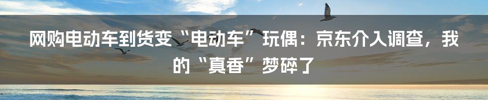 网购电动车到货变“电动车”玩偶：京东介入调查，我的“真香”梦碎了