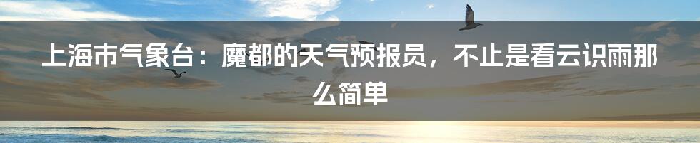 上海市气象台：魔都的天气预报员，不止是看云识雨那么简单