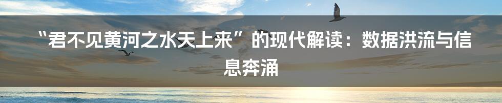 “君不见黄河之水天上来”的现代解读：数据洪流与信息奔涌