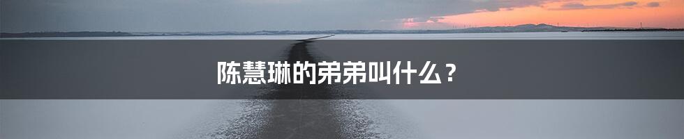 陈慧琳的弟弟叫什么？