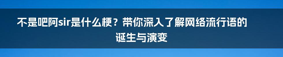 不是吧阿sir是什么梗？带你深入了解网络流行语的诞生与演变