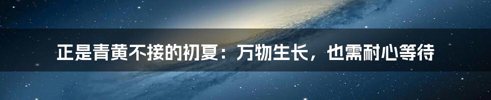 正是青黄不接的初夏：万物生长，也需耐心等待