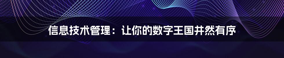 信息技术管理：让你的数字王国井然有序