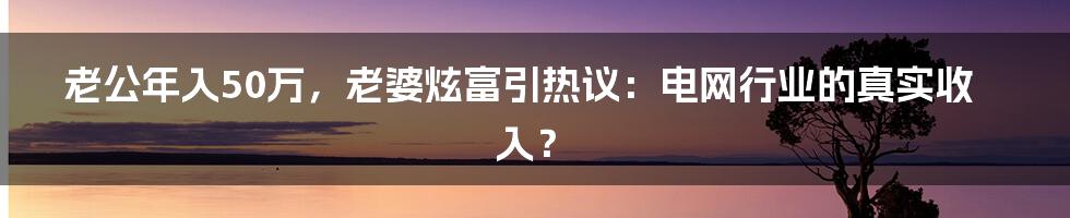 老公年入50万，老婆炫富引热议：电网行业的真实收入？