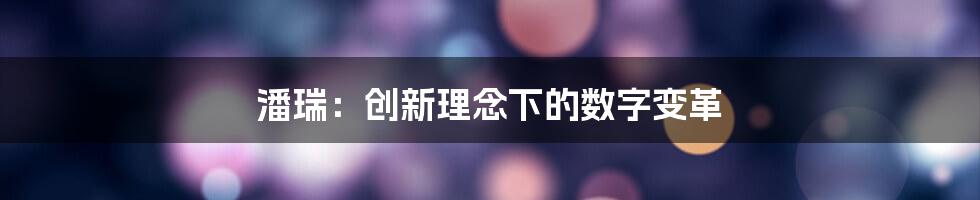 潘瑞：创新理念下的数字变革