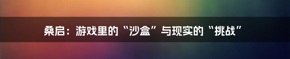 桑启：游戏里的“沙盒”与现实的“挑战”