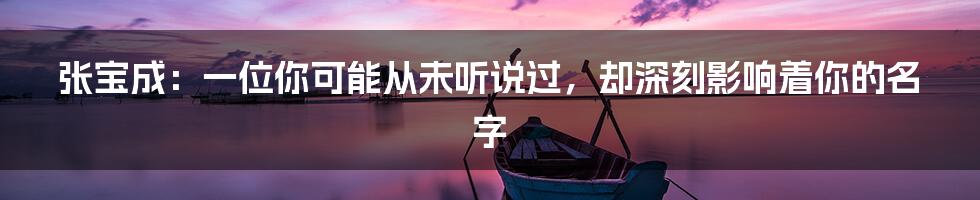 张宝成：一位你可能从未听说过，却深刻影响着你的名字