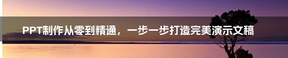 PPT制作从零到精通，一步一步打造完美演示文稿