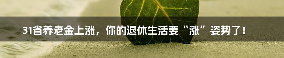 31省养老金上涨，你的退休生活要“涨”姿势了！