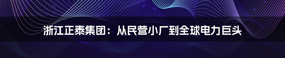 浙江正泰集团：从民营小厂到全球电力巨头