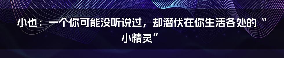 小也：一个你可能没听说过，却潜伏在你生活各处的“小精灵”