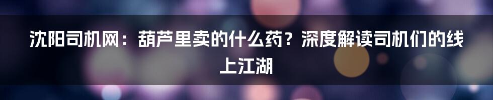 沈阳司机网：葫芦里卖的什么药？深度解读司机们的线上江湖