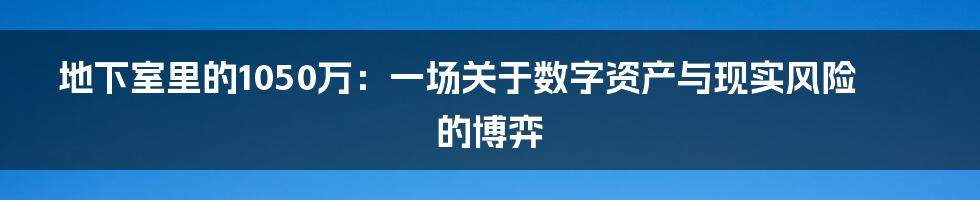 地下室里的1050万：一场关于数字资产与现实风险的博弈