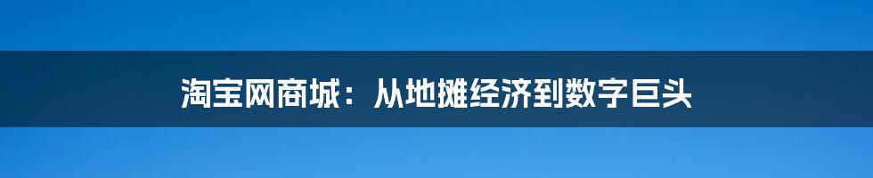 淘宝网商城：从地摊经济到数字巨头