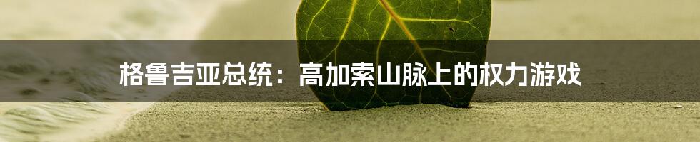 格鲁吉亚总统：高加索山脉上的权力游戏