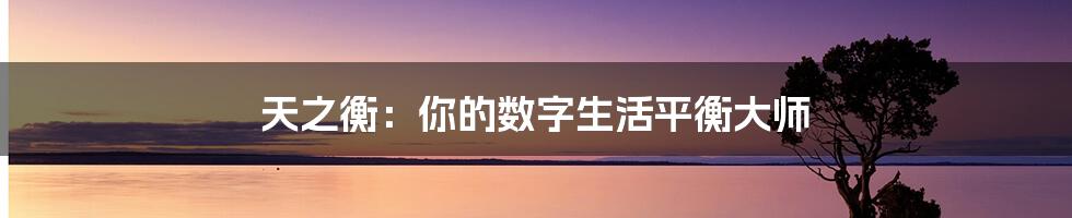 天之衡：你的数字生活平衡大师