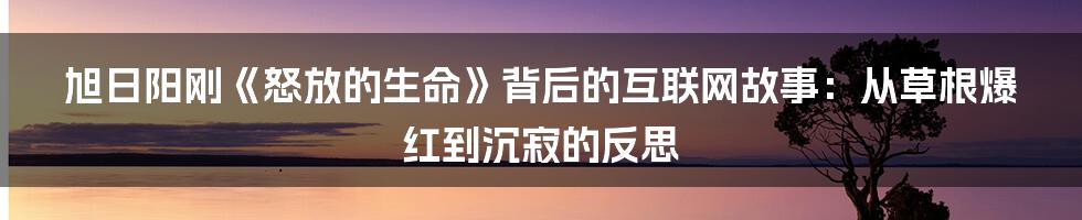 旭日阳刚《怒放的生命》背后的互联网故事：从草根爆红到沉寂的反思