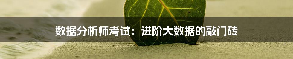 数据分析师考试：进阶大数据的敲门砖