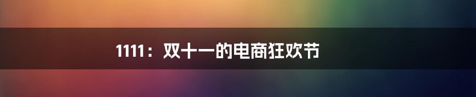 1111：双十一的电商狂欢节