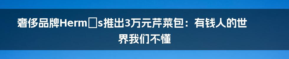 奢侈品牌Hermès推出3万元芹菜包：有钱人的世界我们不懂