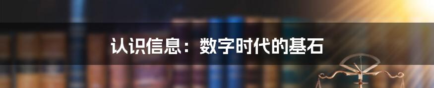 认识信息：数字时代的基石