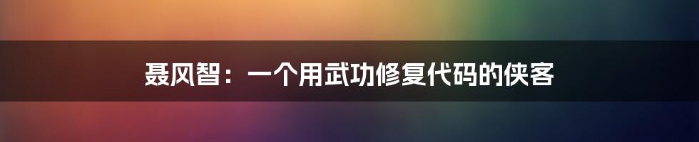 聂风智：一个用武功修复代码的侠客