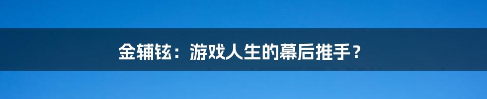 金辅铉：游戏人生的幕后推手？