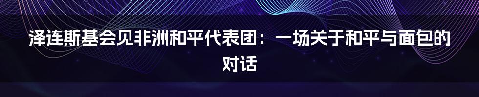 泽连斯基会见非洲和平代表团：一场关于和平与面包的对话