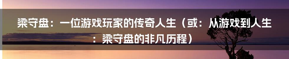 梁守盘：一位游戏玩家的传奇人生（或：从游戏到人生：梁守盘的非凡历程）