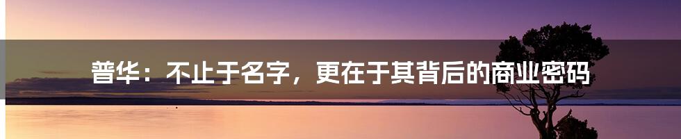 普华：不止于名字，更在于其背后的商业密码