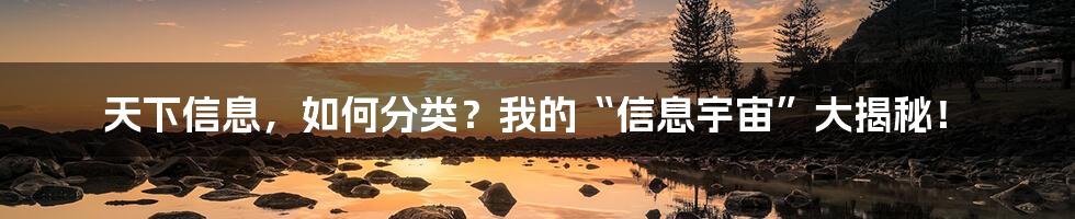 天下信息，如何分类？我的“信息宇宙”大揭秘！