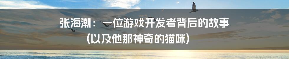 张海潮：一位游戏开发者背后的故事 (以及他那神奇的猫咪)