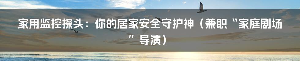 家用监控探头：你的居家安全守护神（兼职“家庭剧场”导演）