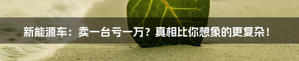 新能源车：卖一台亏一万？真相比你想象的更复杂！