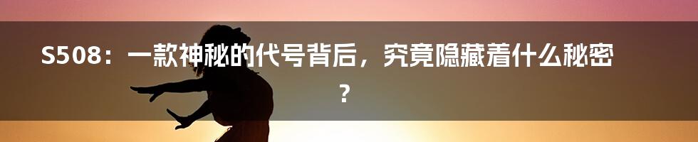 S508：一款神秘的代号背后，究竟隐藏着什么秘密？