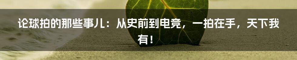 论球拍的那些事儿：从史前到电竞，一拍在手，天下我有！